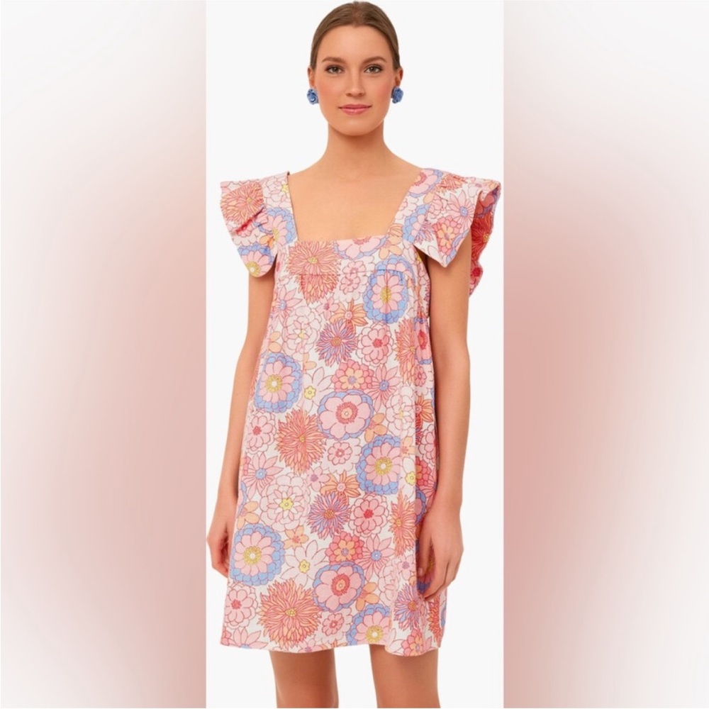 Tuckernuck x Cameran Eubanks Wimberly Folly Floral dress XS